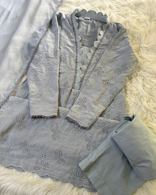 Grey Chikankari Suit with Matching Dupatta - 3 Pcs